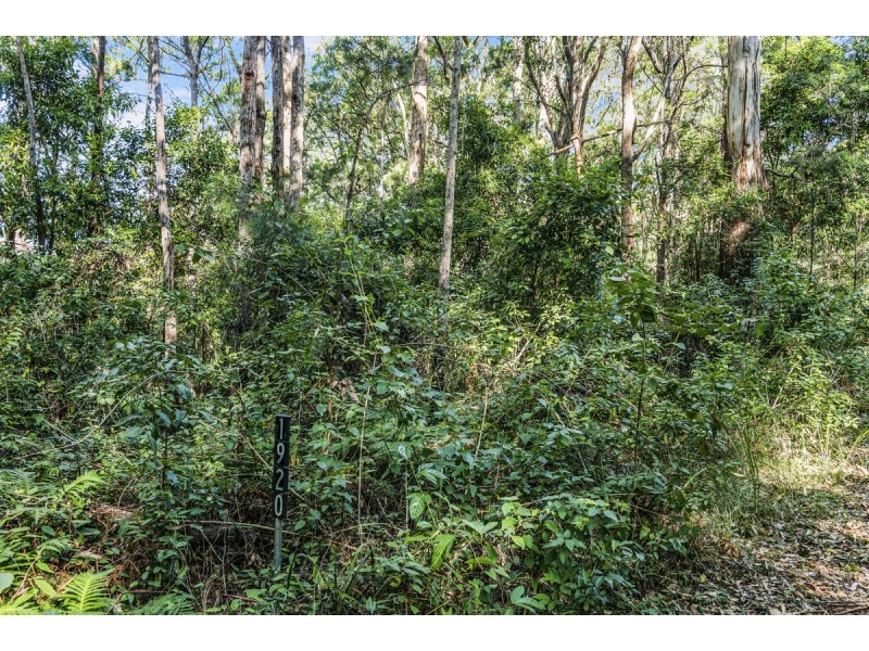 1922 Springbrook Road, Springbrook QLD 4213