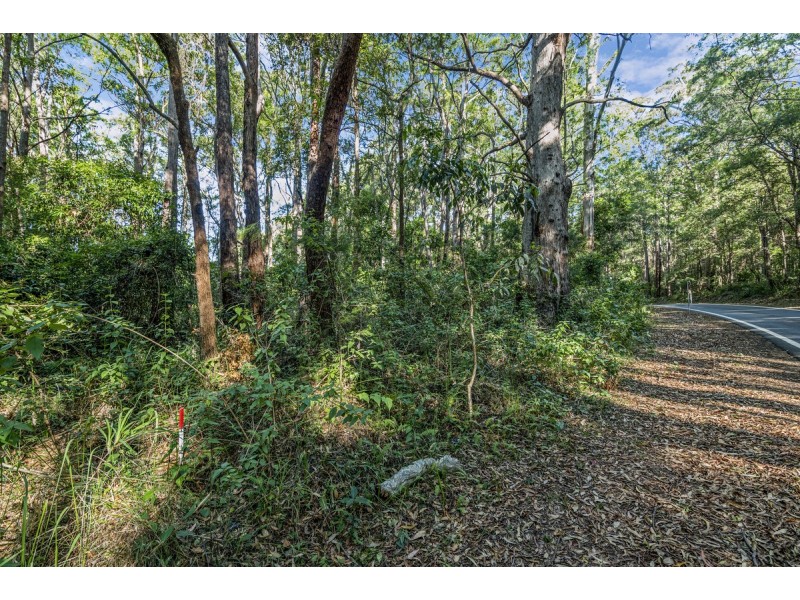 1922 Springbrook Road, Springbrook QLD 4213