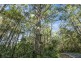 1922 Springbrook Road, Springbrook QLD 4213