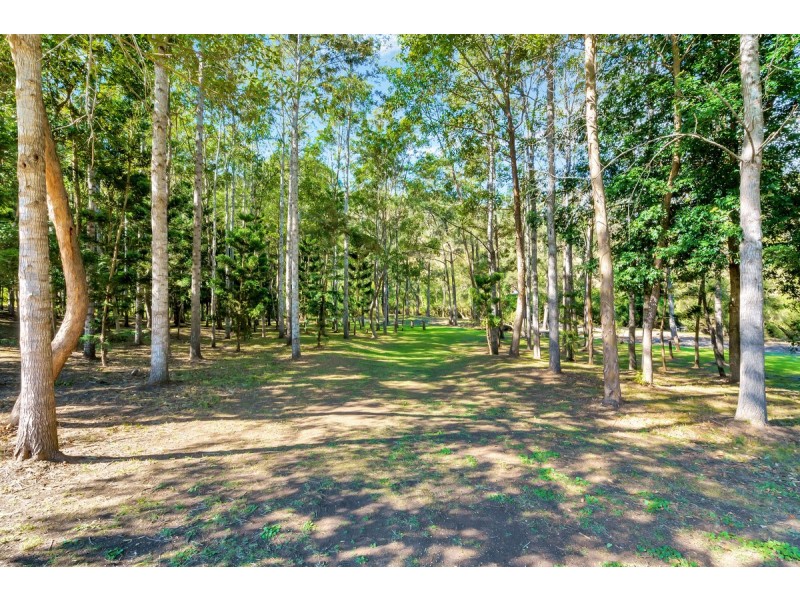 969 Lamington National Park Road, Canungra QLD 4275