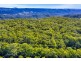 1938 Springbrook Road, Springbrook QLD 4213