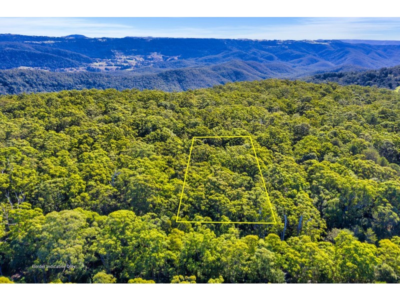 1938 Springbrook Road, Springbrook QLD 4213