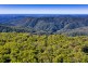 1938 Springbrook Road, Springbrook QLD 4213