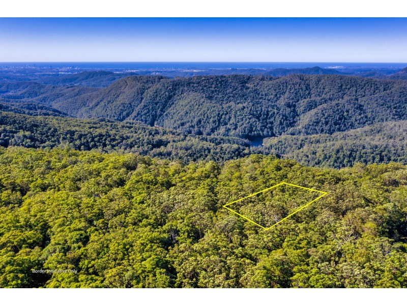 1938 Springbrook Road, Springbrook QLD 4213