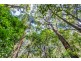 1938 Springbrook Road, Springbrook QLD 4213