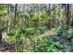 1938 Springbrook Road, Springbrook QLD 4213