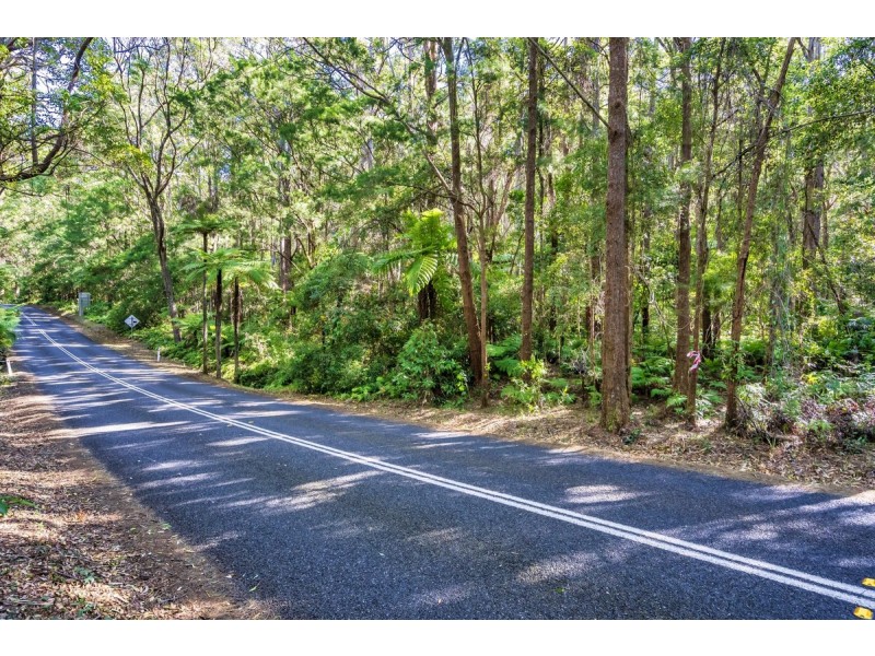 1938 Springbrook Road, Springbrook QLD 4213