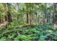 1938 Springbrook Road, Springbrook QLD 4213