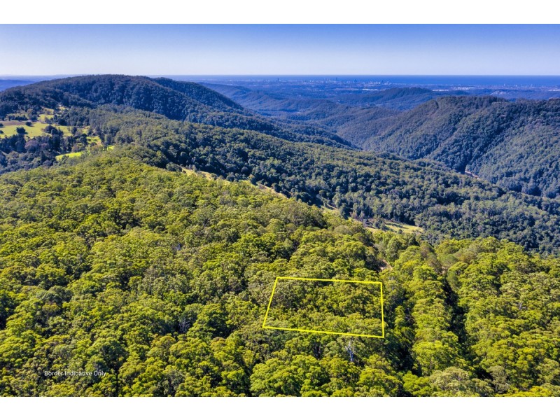 1938 Springbrook Road, Springbrook QLD 4213