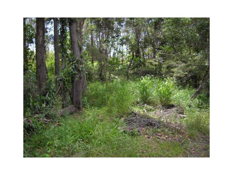 21 Orlando Court, Highland Park QLD 4211