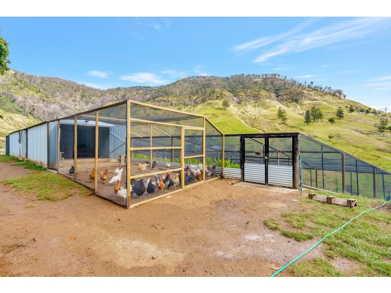 726 Illinbah Road, Canungra QLD 4275