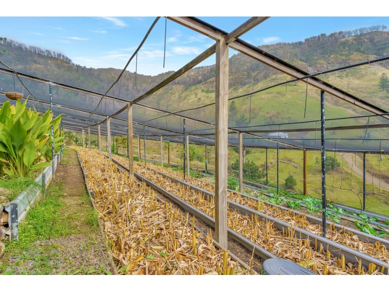 726 Illinbah Road, Canungra QLD 4275