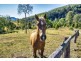 498 Sarabah Road, Canungra QLD 4275