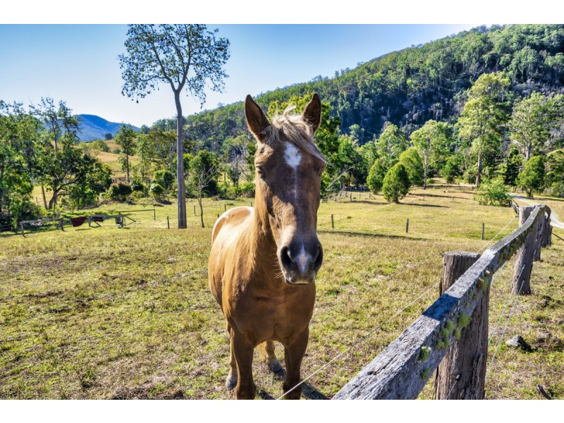 498 Sarabah Road, Canungra QLD 4275