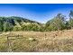 498 Sarabah Road, Canungra QLD 4275