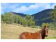 498 Sarabah Road, Canungra QLD 4275