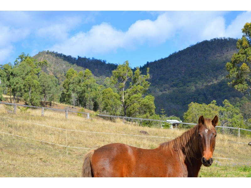 498 Sarabah Road, Canungra QLD 4275