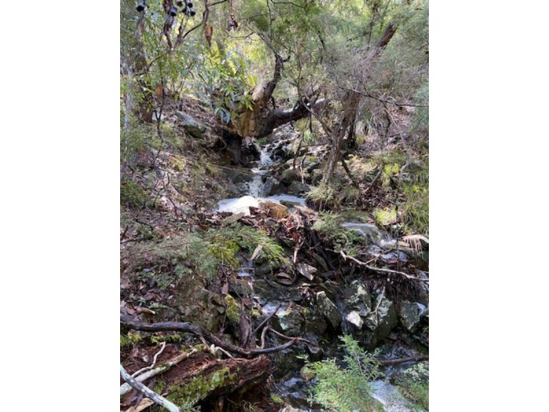 Lot 2/927 Gilston Road, Gilston QLD 4211