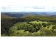 2940 Springbrook Road, Springbrook QLD 4213