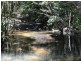 2940 Springbrook Road, Springbrook QLD 4213