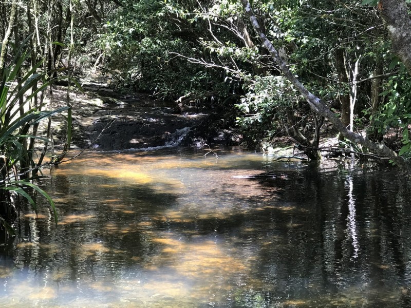 2940 Springbrook Road, Springbrook QLD 4213