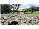 2940 Springbrook Road, Springbrook QLD 4213