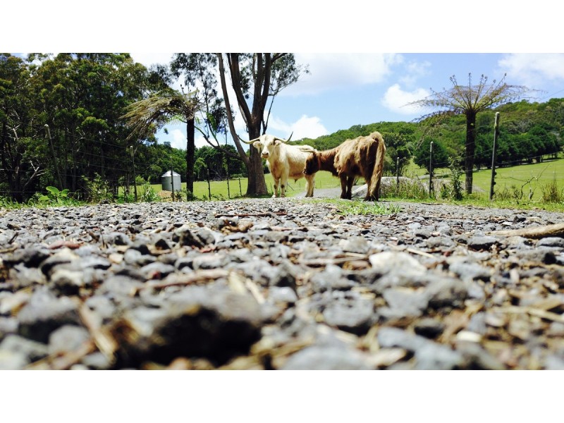 2940 Springbrook Road, Springbrook QLD 4213