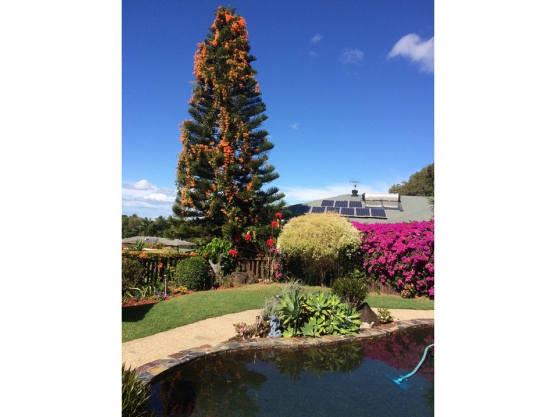 7 Foxhill Court, Carrara QLD 4211