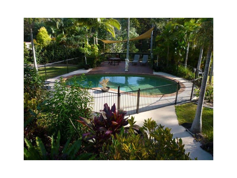 45 Birdlife Court, Nerang QLD 4211