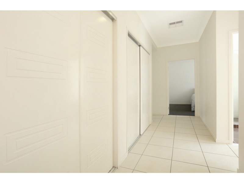 17 Pasture Place, Mount Nathan QLD 4211