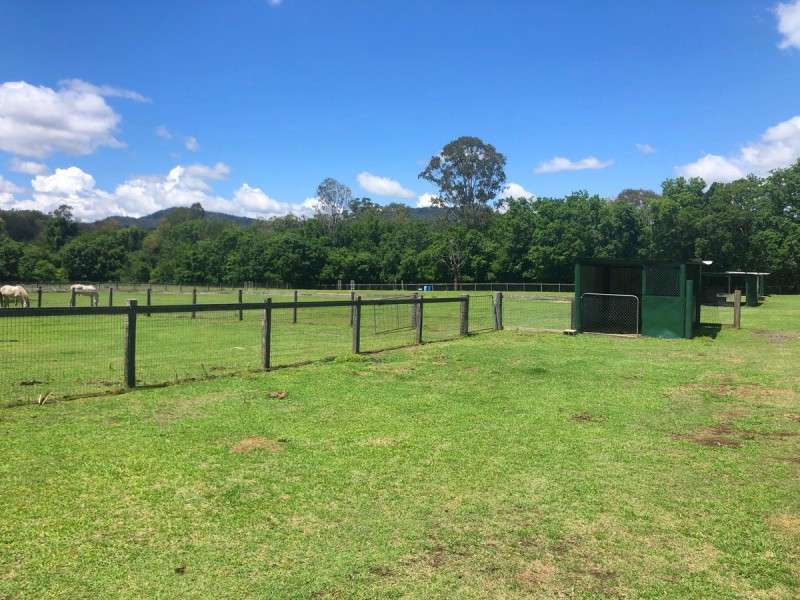 3133 Beechmont Road, Witheren QLD 4275