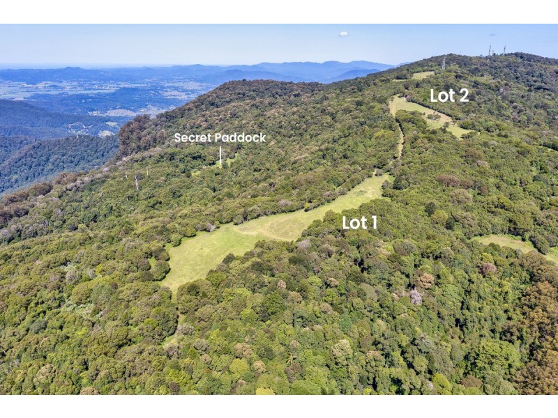 3000 Springbrook Road, Springbrook QLD 4213