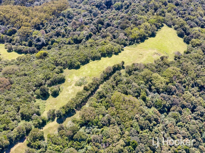 3000 Springbrook Road, Springbrook QLD 4213