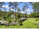 42 Pademelon Pass, Nerang QLD 4211