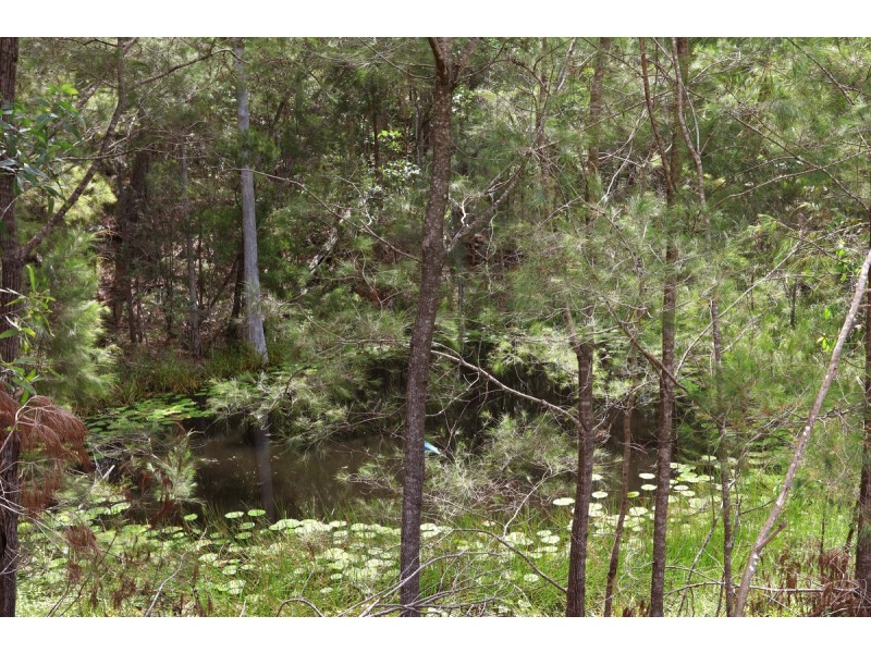 10 Narrabri Court, Gaven QLD 4211