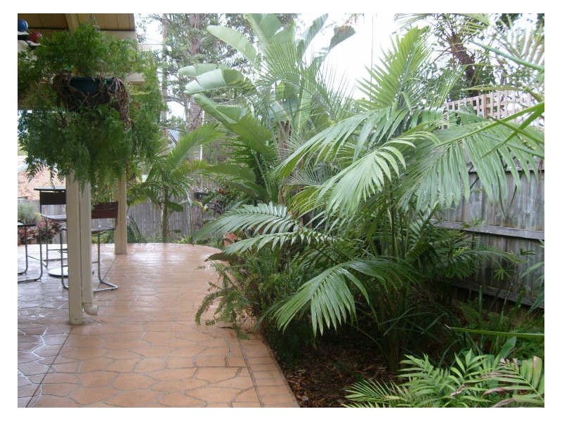 23 Branston Court, Nerang QLD 4211