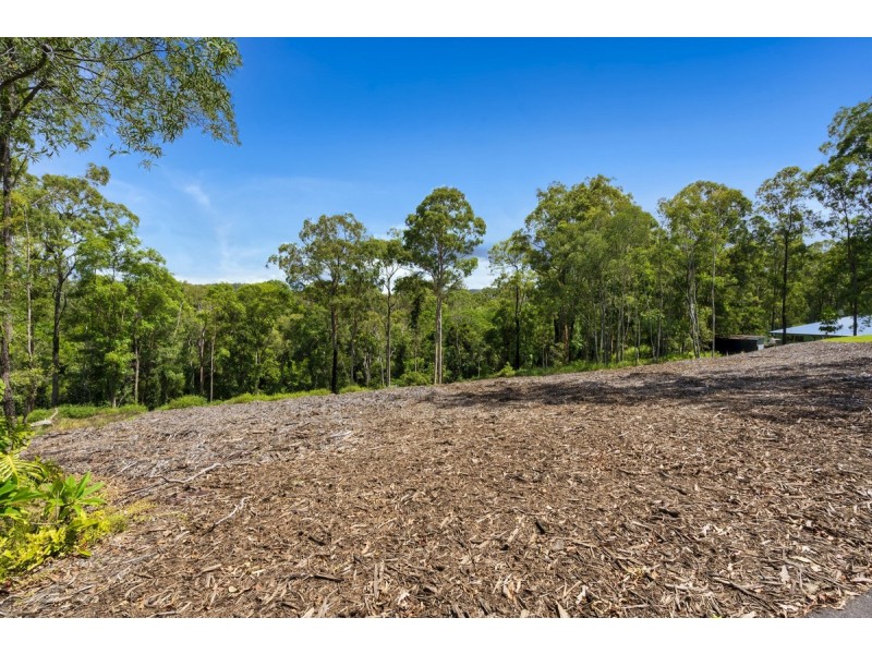 11 Bluebelle Drive, Nerang QLD 4211