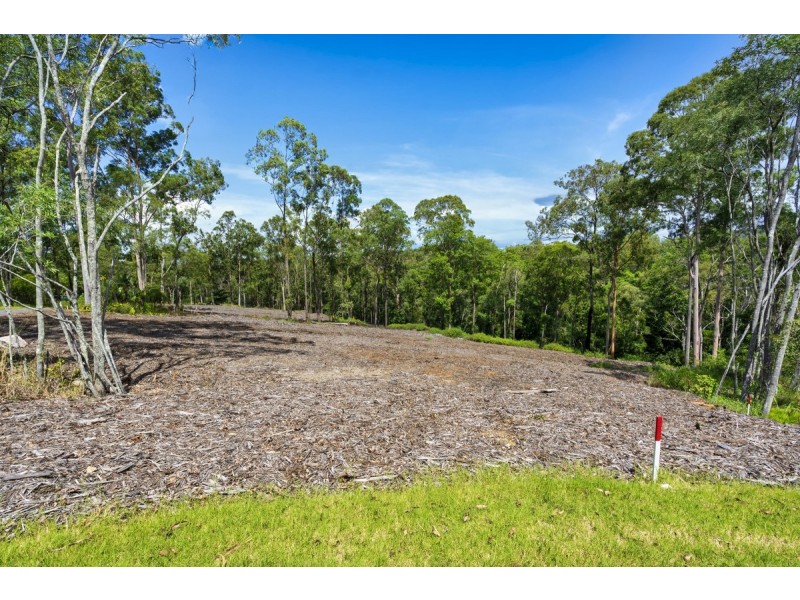 11 Bluebelle Drive, Nerang QLD 4211