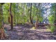 1922 Springbrook Road, Springbrook QLD 4213