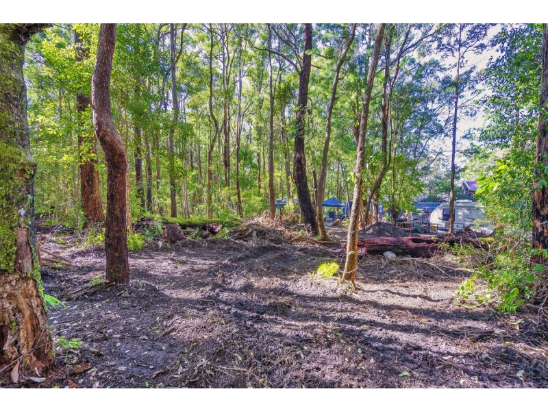 1922 Springbrook Road, Springbrook QLD 4213