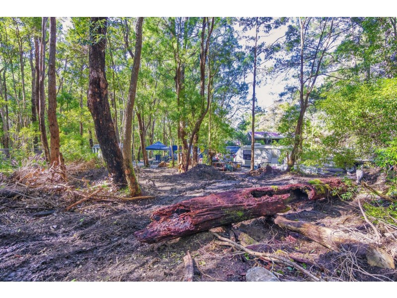 1922 Springbrook Road, Springbrook QLD 4213