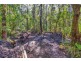 1922 Springbrook Road, Springbrook QLD 4213