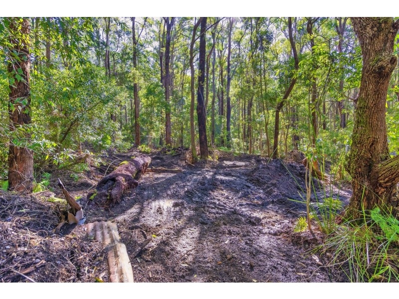 1922 Springbrook Road, Springbrook QLD 4213