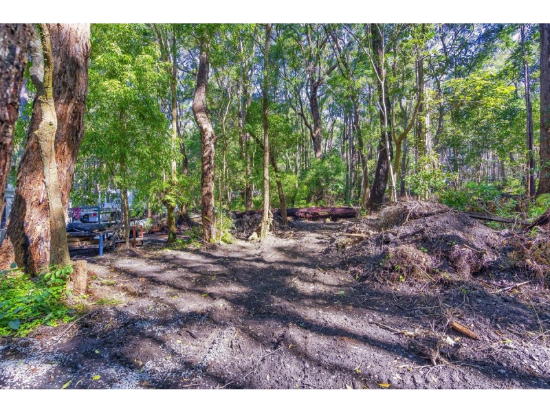 1922 Springbrook Road, Springbrook QLD 4213