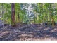 1922 Springbrook Road, Springbrook QLD 4213