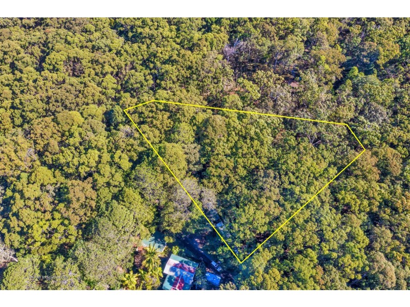 1922 Springbrook Road, Springbrook QLD 4213