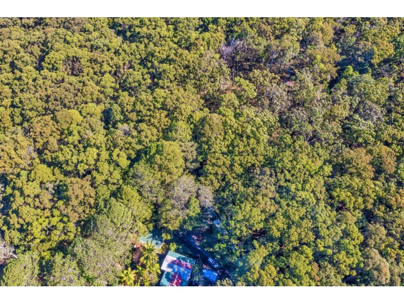 1922 Springbrook Road, Springbrook QLD 4213