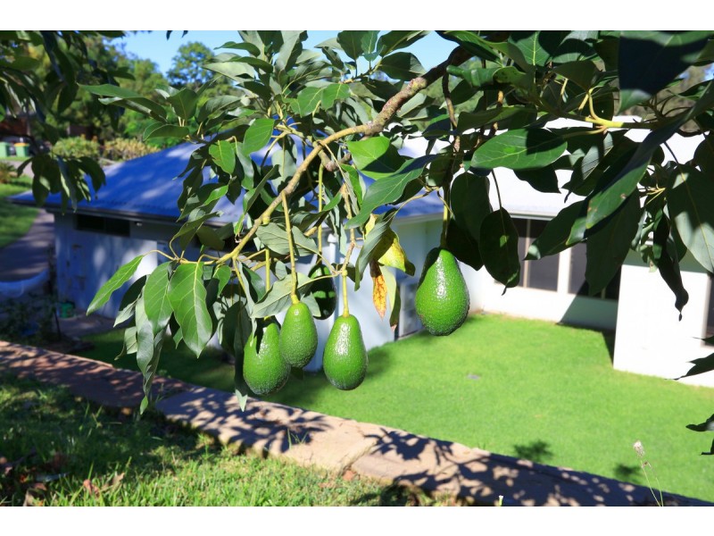 5 Park Court, Mudgeeraba QLD 4213