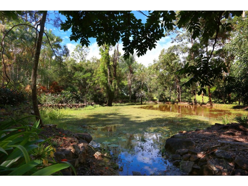 861 Gilston Road, Gilston QLD 4211