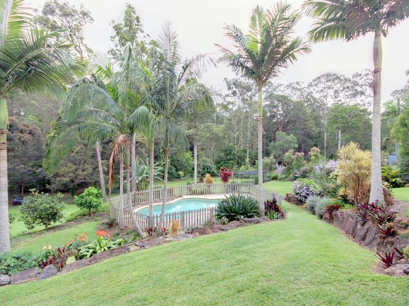 49 Birdlife Court, Nerang QLD 4211